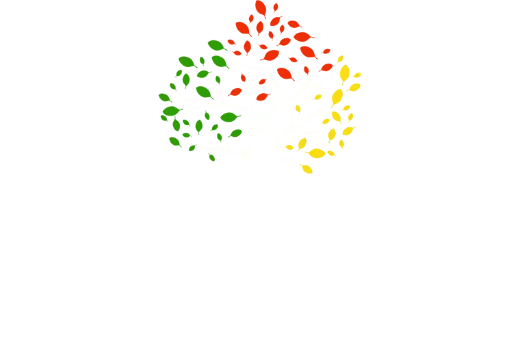 Brand Seff Law Firm
